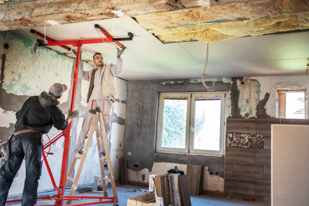 Best Insulation Maintenance and Repair in Silver Lake, KS