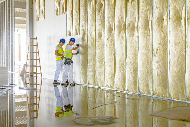 Silver Lake, KS Insulation Contractor Pros